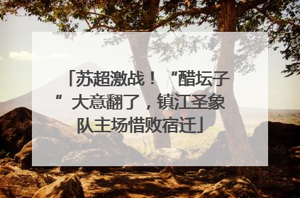 苏超激战！“醋坛子”大意翻了，镇江圣象队主场惜败宿迁